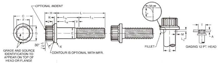 12-point-flange-screwwebp 1